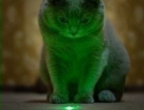 Во время сна